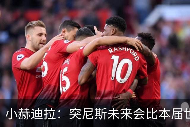 小赫迪拉：突尼斯未来会比本届世界杯更好 批评？我已经付出全力